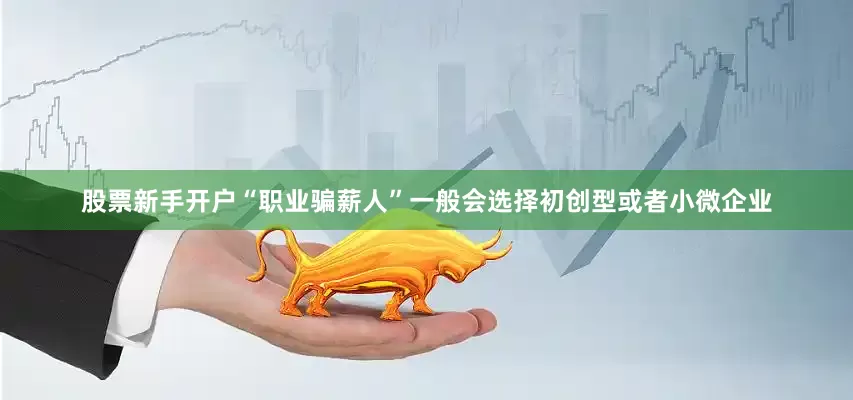 股票新手开户“职业骗薪人”一般会选择初创型或者小微企业